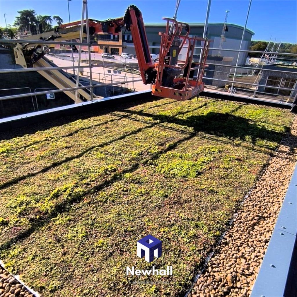 UK flat roof contractor green project