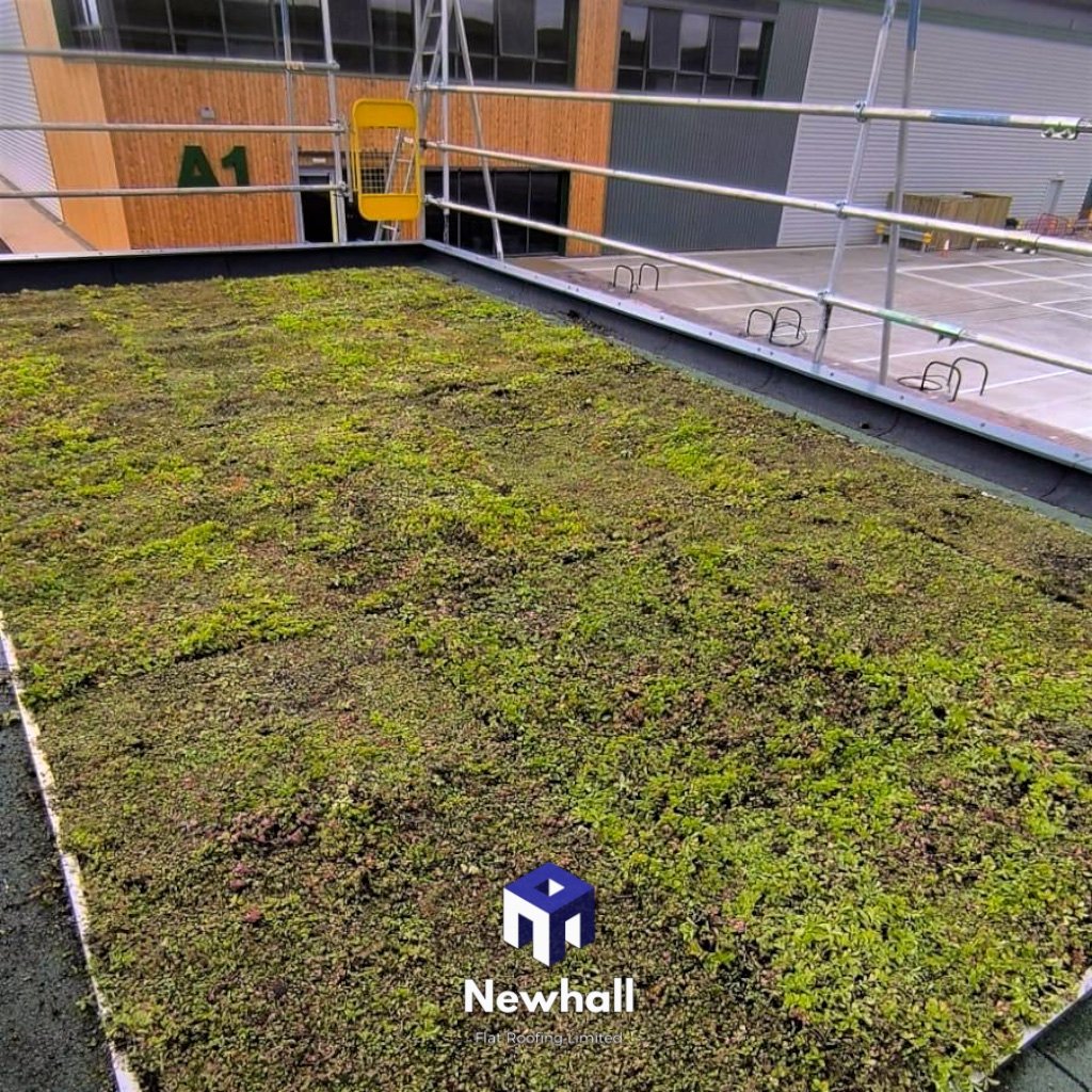 UK flat roof contractor green project
