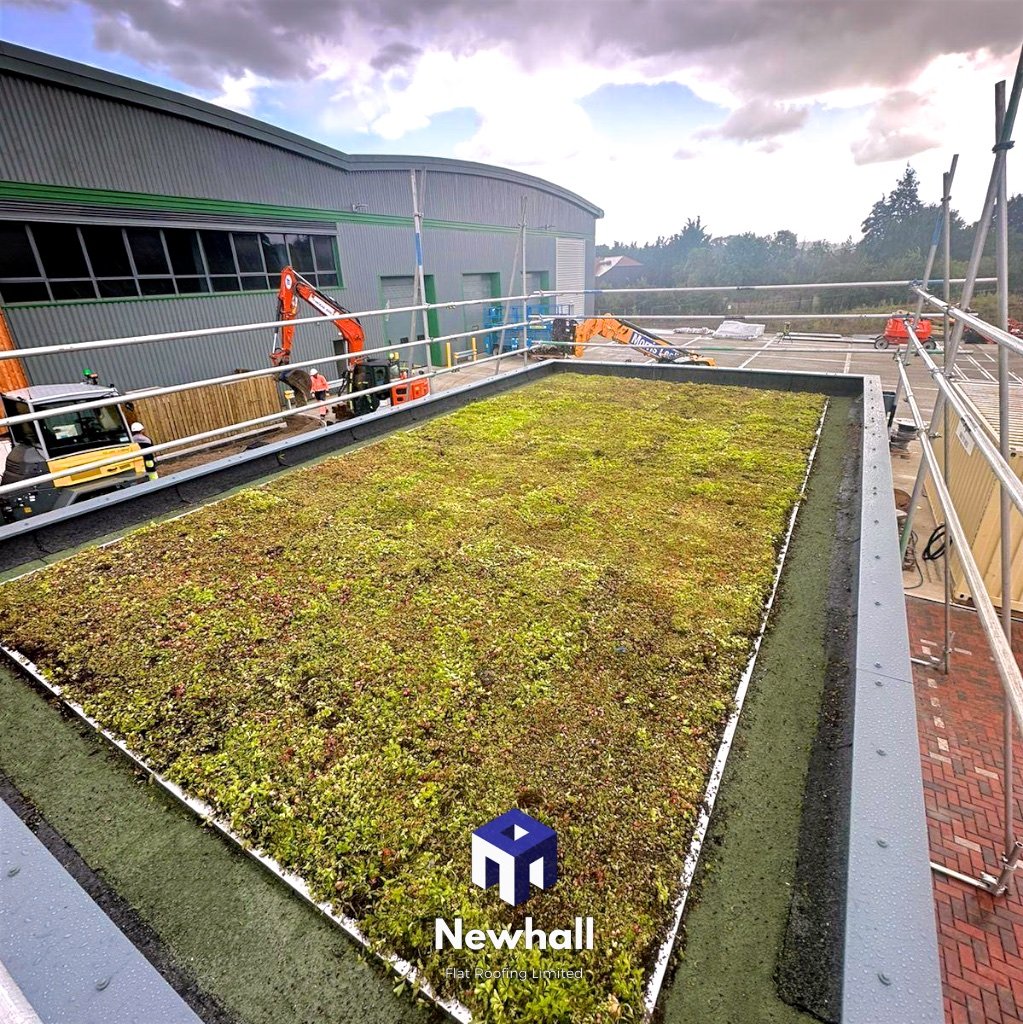 UK flat roof contractor green project