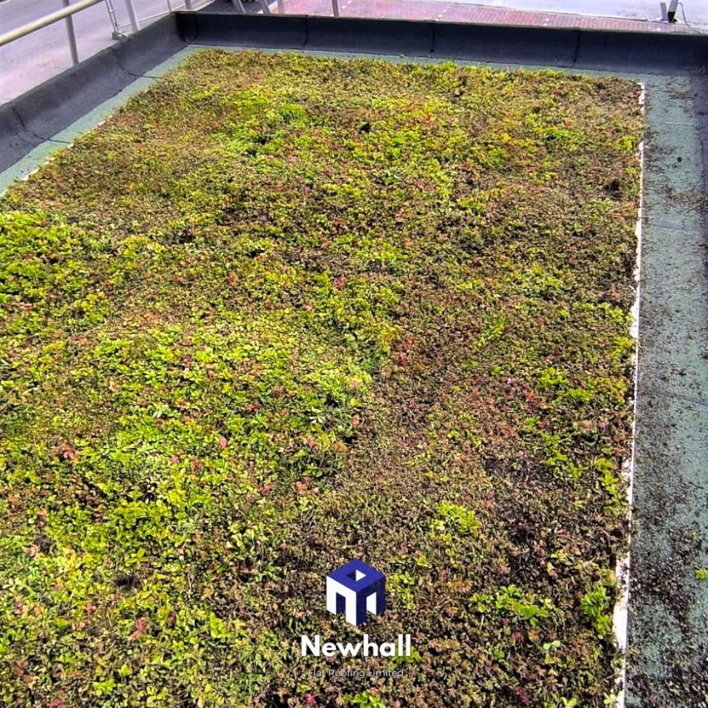 UK flat roof contractor green project