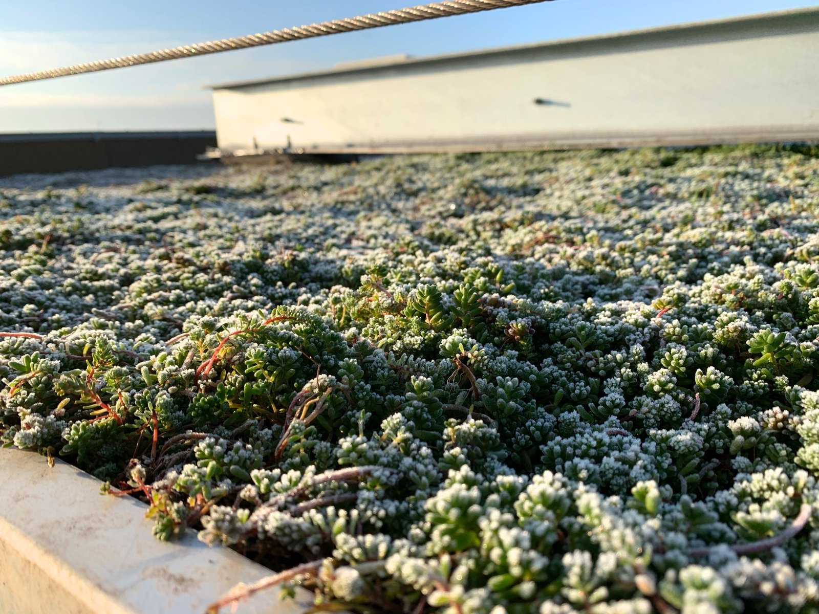 Expert Roofing for Multi-Use Residential Spaces